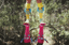 Fred-Carla-Lily Socks Set - MooshWalks